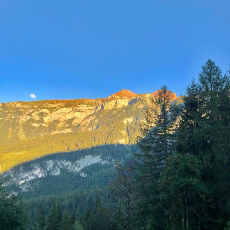 Appartamento - Residence I Larici - Appartamento con Vista Montagna - 7