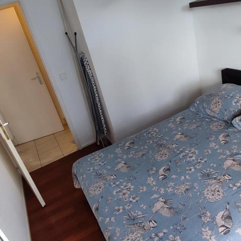 Proche Gare d'Annemasse, Genève - Appartement 1 Chambre - 16