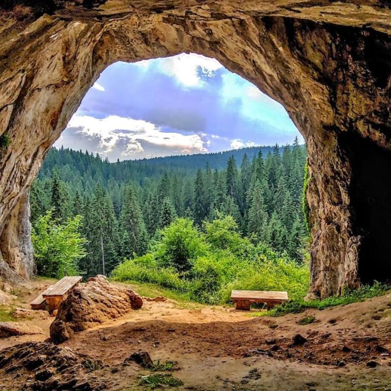 7Pines Bijambare - Air Spa - Kuća sa 1 Spavaćom Sobom - 32