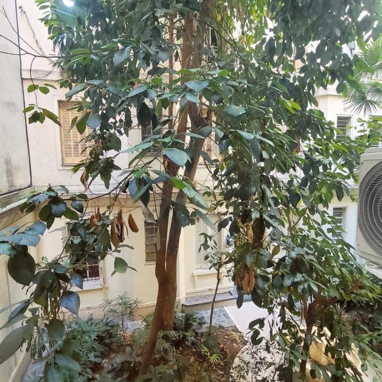 Un oasis en el corazón de Buenos Aires - Apartamento de 2 dormitorios - 11