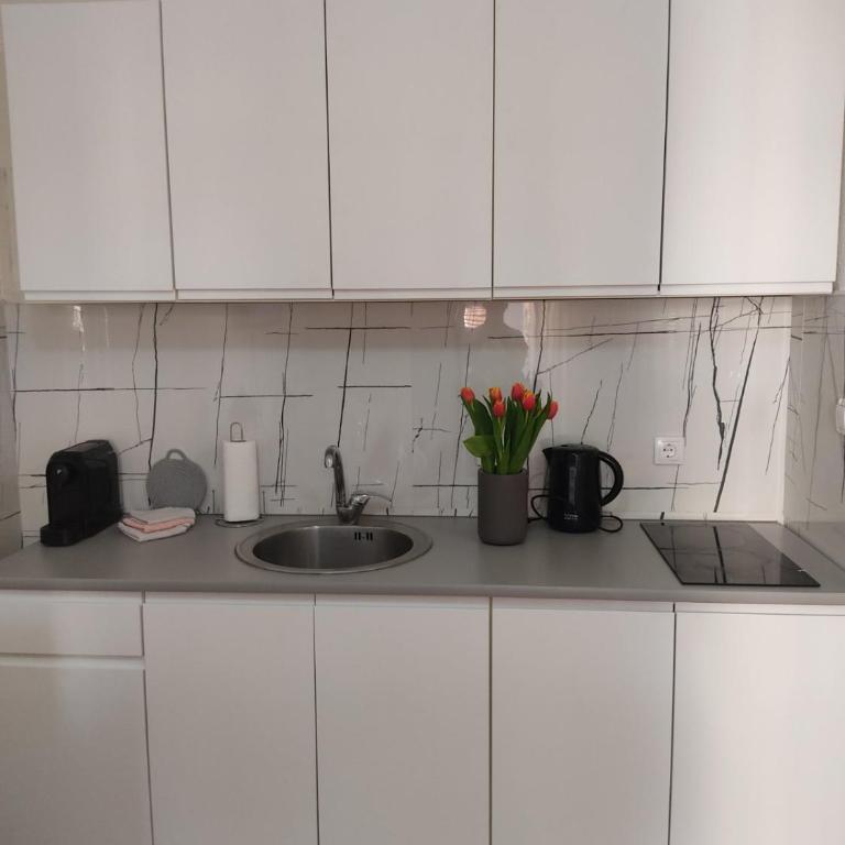 Apartman Lenka - Studio Apartman - 3