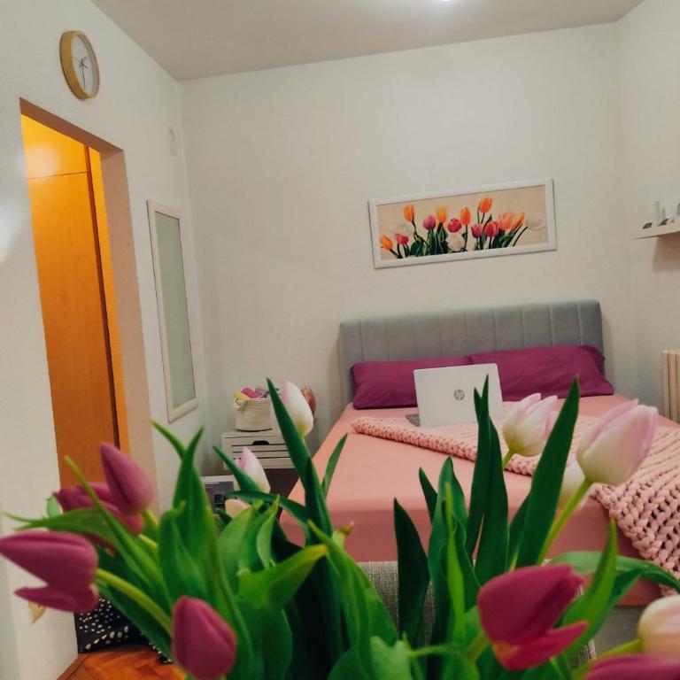 Apartman Lenka - Studio Apartman - 7