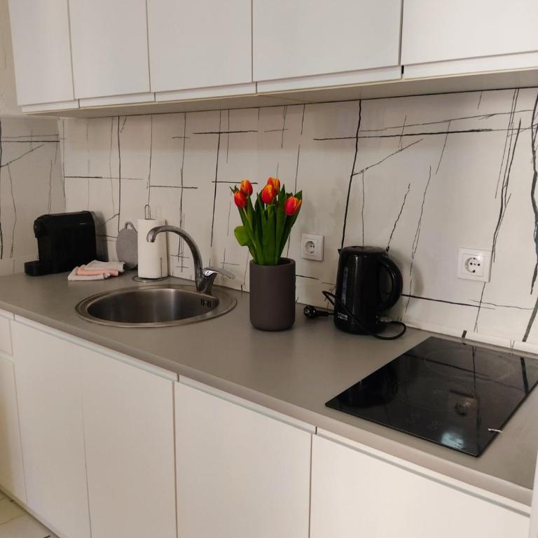 Apartman Lenka - Studio Apartman - 17