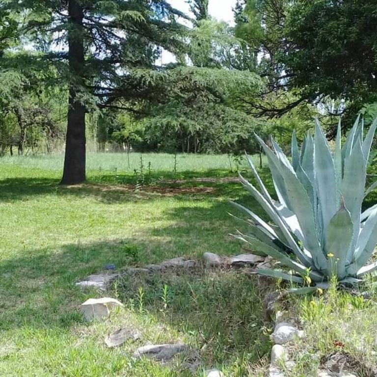 Casa amplia en las sierras de San Luis - Casa de 3 dormitorios - 6