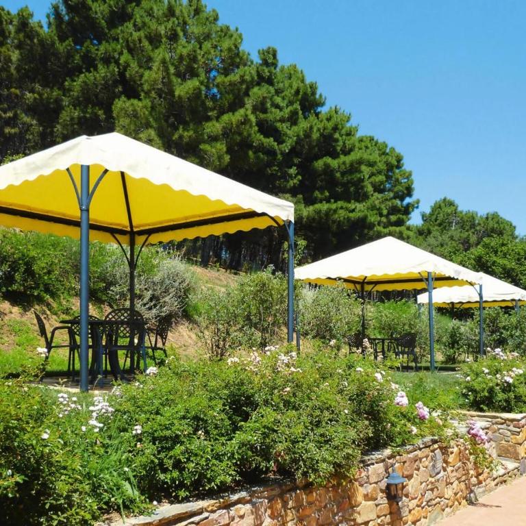 Estate in Monte Serra with Panoramic Views - One-Bedroom Apartment - 20