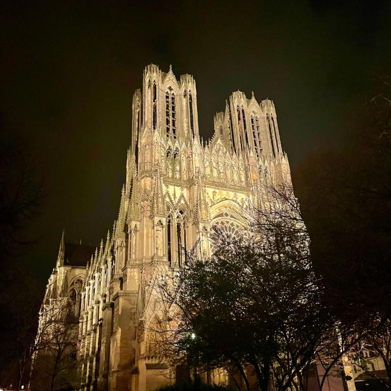 Champagne des Anges - Proche Cathédrale de Reims - Appartement 2 Chambres - 23