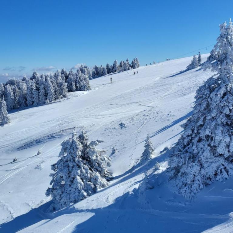 Apartman KUTIJA Kopaonik - One-Bedroom Apartment - 41