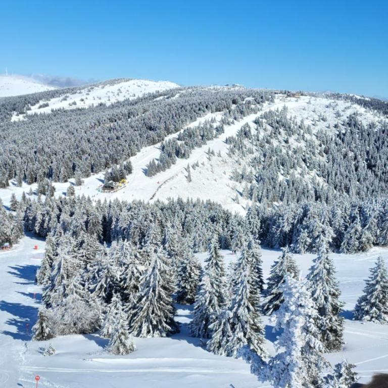 Apartman KUTIJA Kopaonik - One-Bedroom Apartment - 39