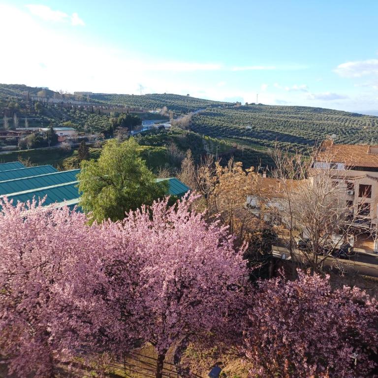 Cazorla LIVE - Standard Apartment - 5