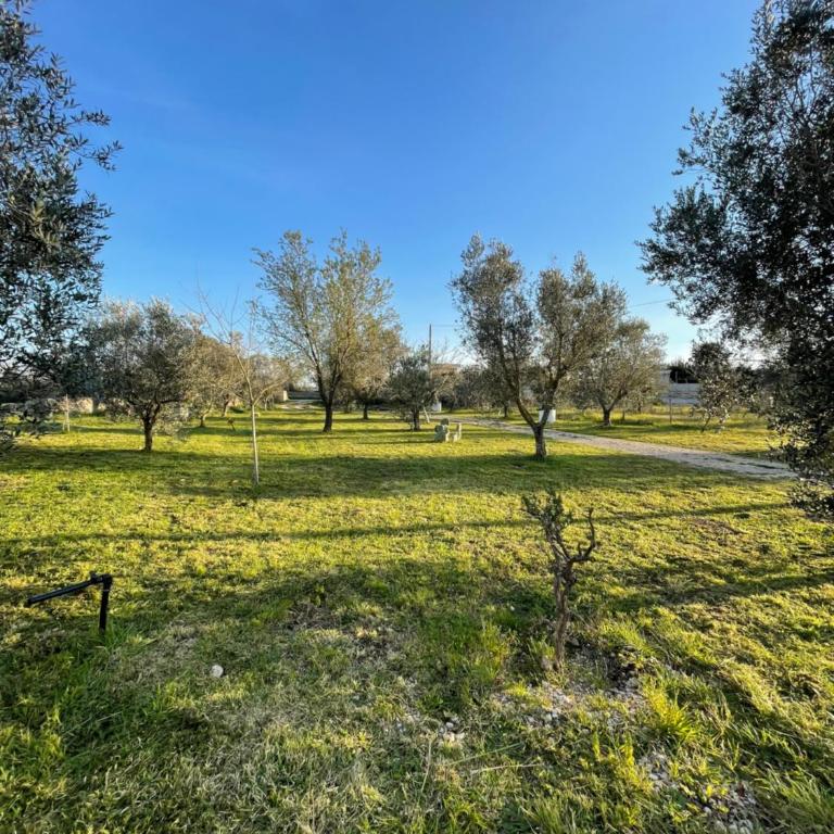 19th century Trullo Raeda in the middle of nature - Villa con 1 Camera da Letto - 2