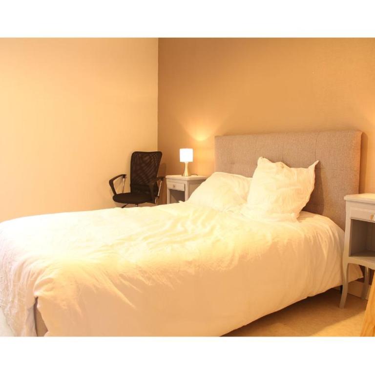 Flexy - T2 - L' Agate Grise - Le Mans - One-Bedroom Apartment - 4