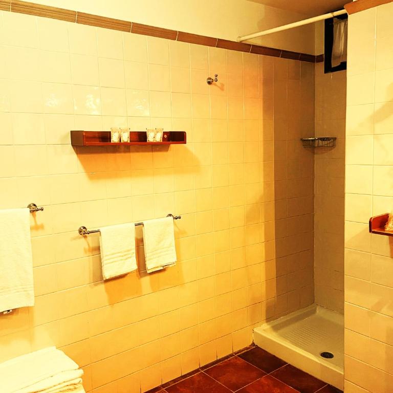 Residence La Contessina - One-Bedroom Apartment (1 Adult) - 26