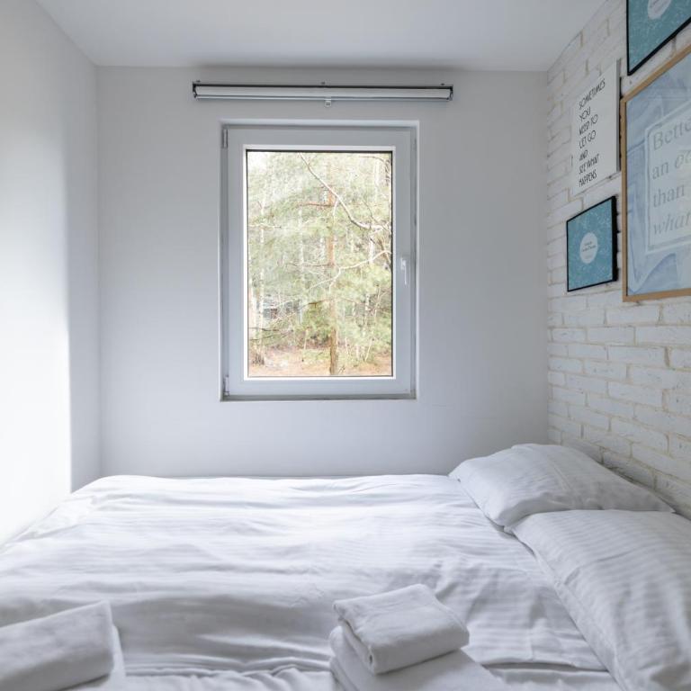 PROMO Evergreen apartments - One-Bedroom Apartment - 8