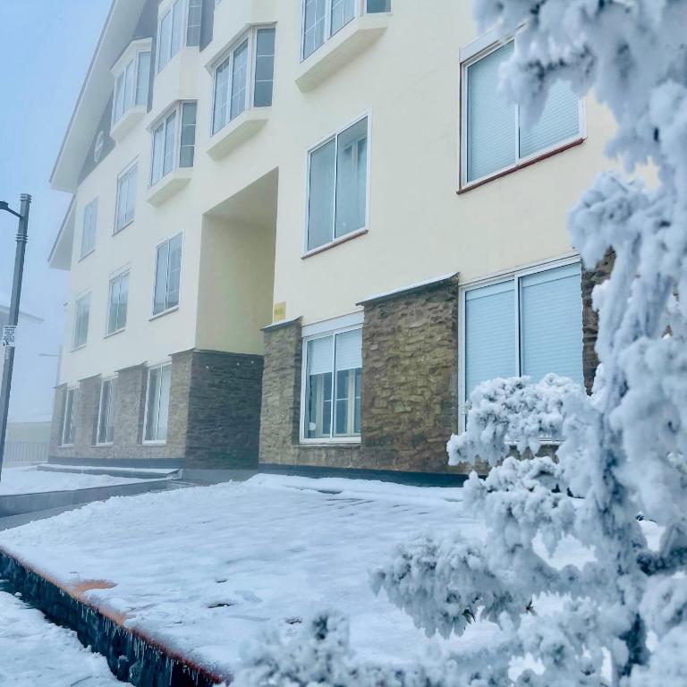 Ski-in, ski-out, FREE parking - Maribel Chic Shack - Studio Deluxe - 3