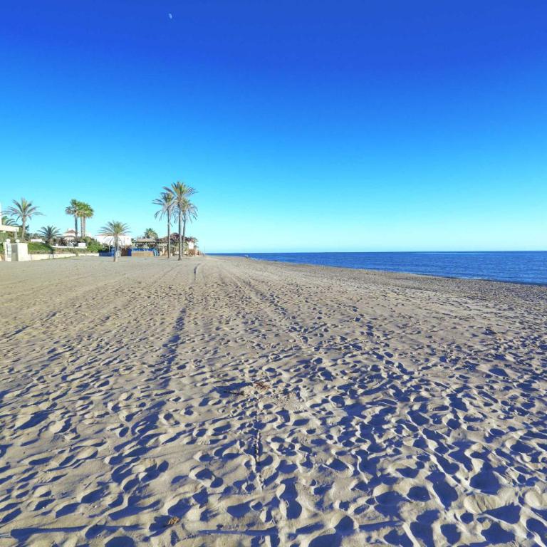 1104 First Line Beach Apartment golden Beach pool - Apartamento - 18