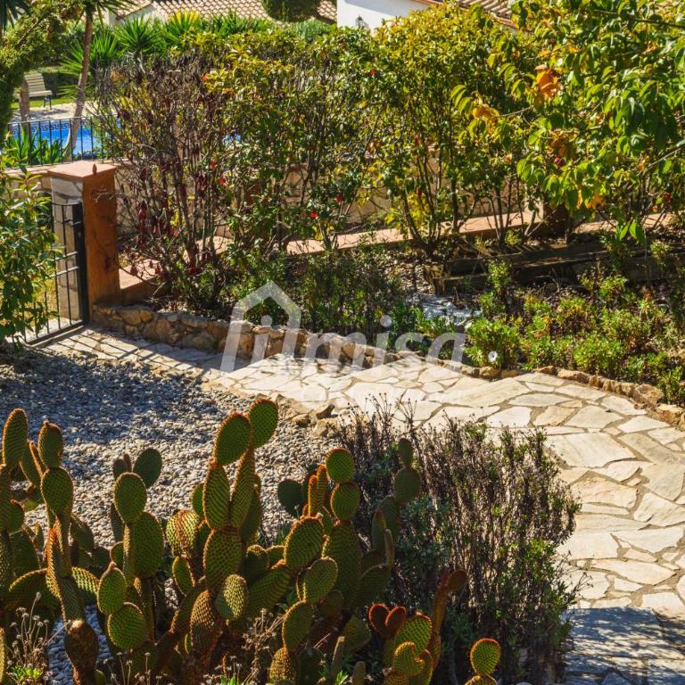 Villa Isabela - Casa - 47