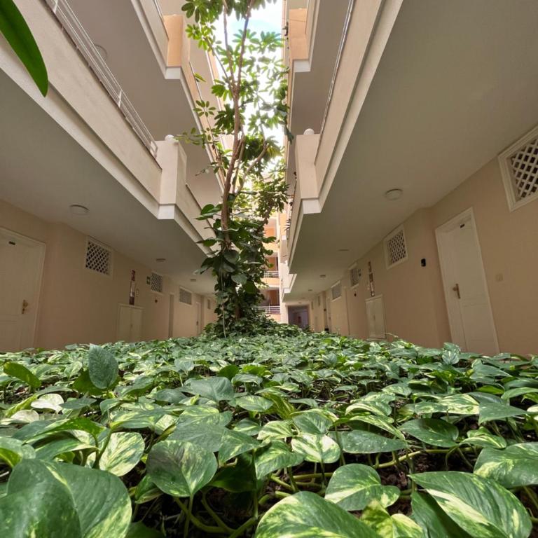 Lory Sweet Home - Apartment mit 1 Schlafzimmer - 21