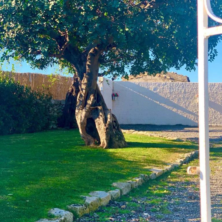 Casa DaviRì - Casa con 2 Camere da Letto - 21