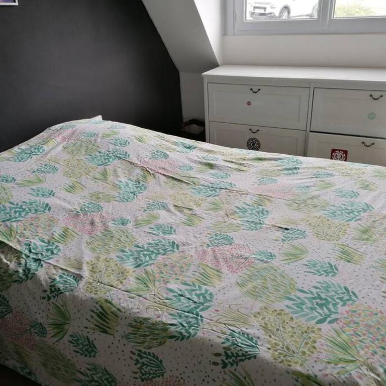 Saint Malo Agréable maison familiale - Casa de 4 dormitorios - 15