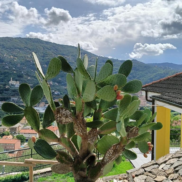 Le Drupe - Casa Vacanze - 2