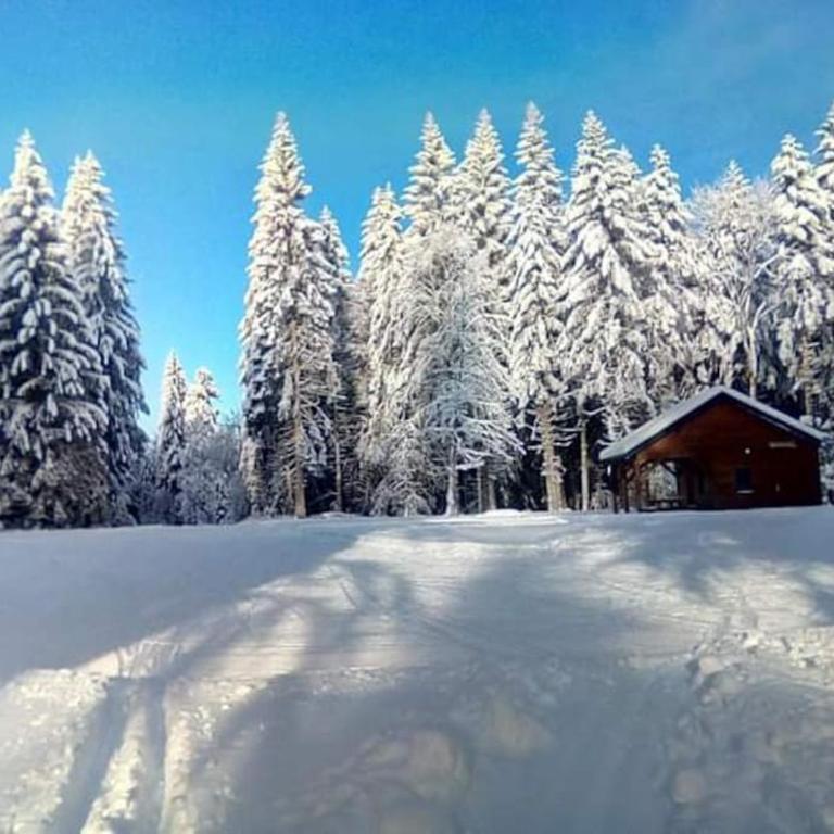 Chalet 3 étoiles à Gérardmer. - Chalet 2 Chambres - 56