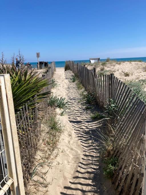 Sur la plage avec vue plongeante sur la mer - Appartement 1 Chambre - 17