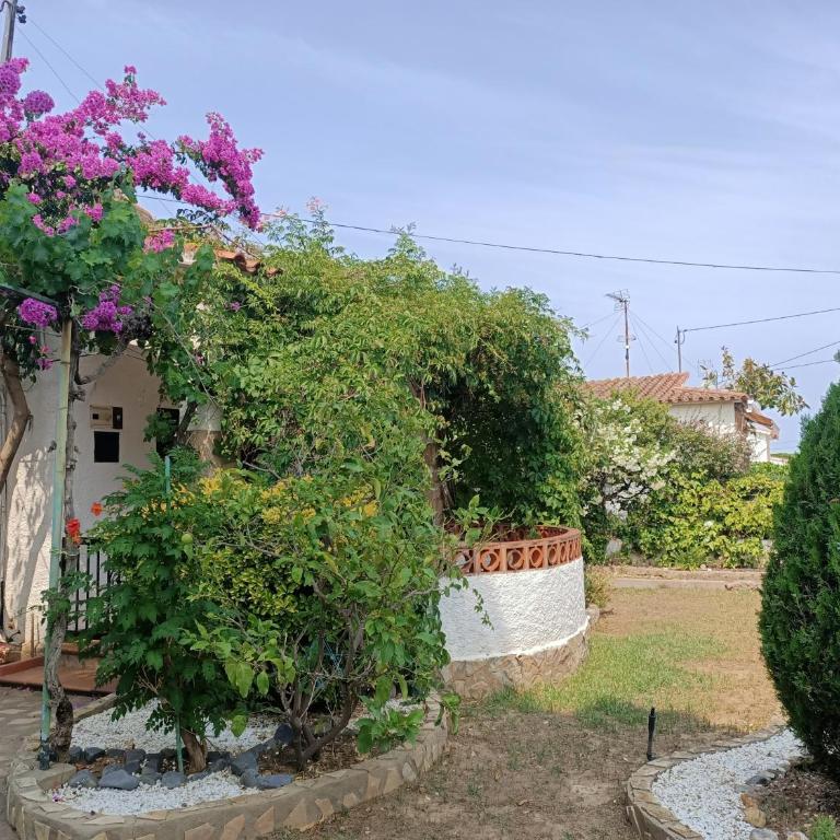 Lluisa - Casa de 3 dormitorios - 3