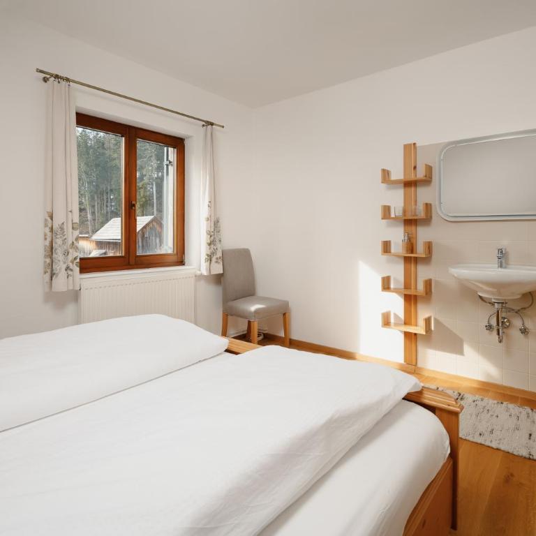 Haus Grundlsee - Maison 2 Chambres - 21