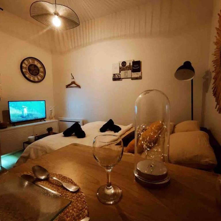 Le cosy studio du canal. - Appartement 1 Chambre - 9