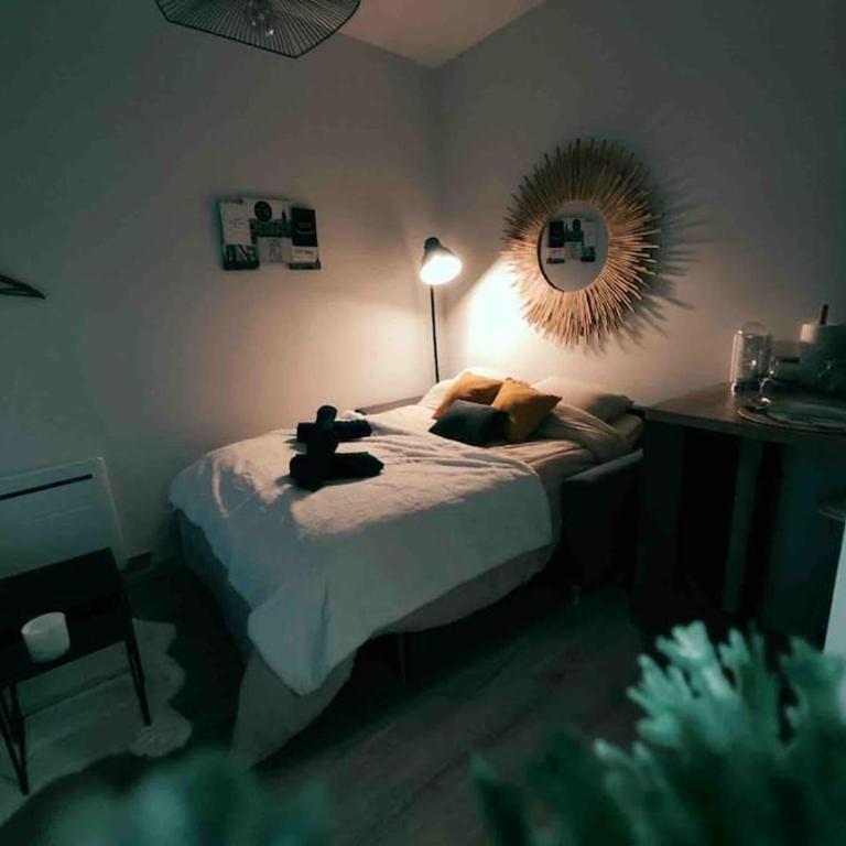 Le cosy studio du canal. - Appartement 1 Chambre - 10