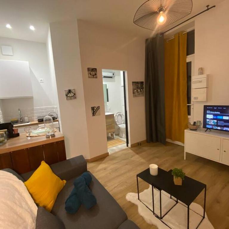 Le cosy studio du canal. - Appartement 1 Chambre - 13