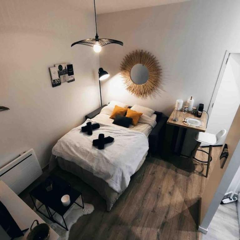 Le cosy studio du canal. - Appartement 1 Chambre - 16