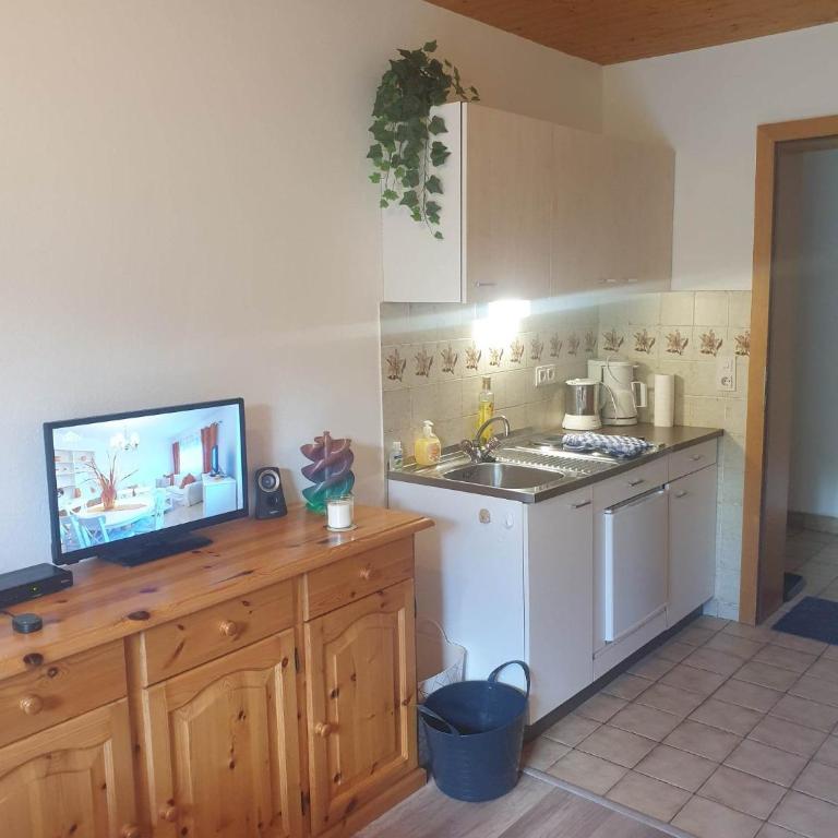 Ferienhaus Schäfer - Apartments - Wintersports - Family holiday - Holiday with your dog - Rural & Scenic - Apartment mit Gartenblick - 7