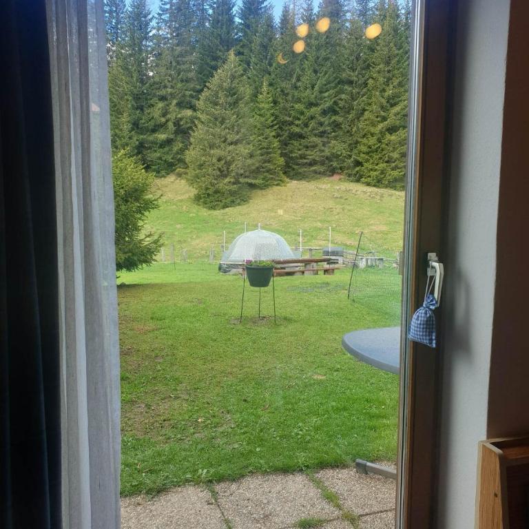 Ferienhaus Schäfer - Apartments - Wintersports - Family holiday - Holiday with your dog - Rural & Scenic - Apartment mit Gartenblick - 10