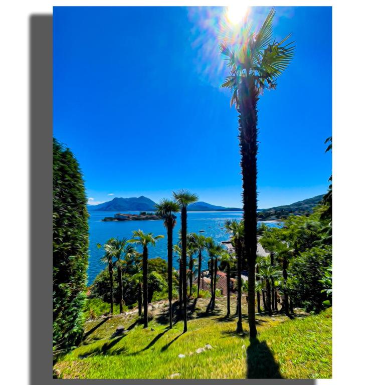 Appartamento vista Lago, giardino spiaggia a Stresa vista Isole Borromee e Golfo Borromeo - STRESAFLAT - Monolocale con Vista Lago - 39