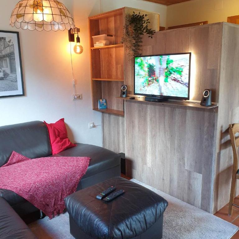 Ferienhaus Schäfer - Apartments - Wintersports - Family holiday - Holiday with your dog - Rural & Scenic - Apartment mit 1 Schlafzimmer und Garten - 8