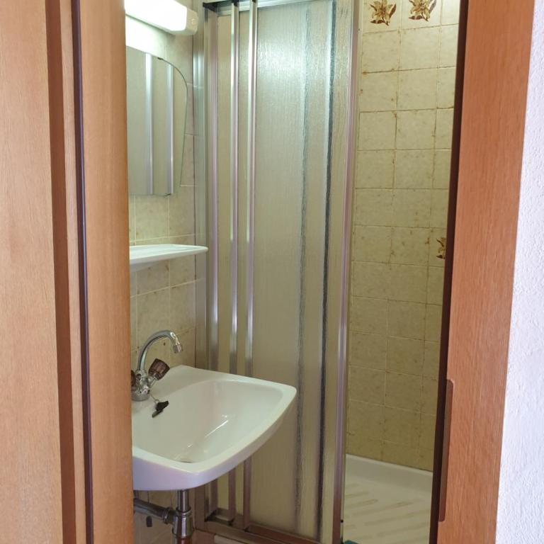 Ferienhaus Schäfer - Apartments - Wintersports - Family holiday - Holiday with your dog - Rural & Scenic - Apartment mit 1 Schlafzimmer, Balkon und Bergblick - 9