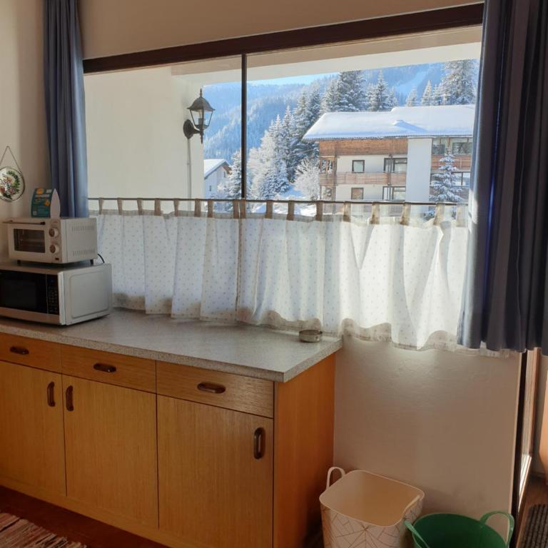 Ferienhaus Schäfer - Apartments - Wintersports - Family holiday - Holiday with your dog - Rural & Scenic - Apartment mit 1 Schlafzimmer, Balkon und Bergblick - 8