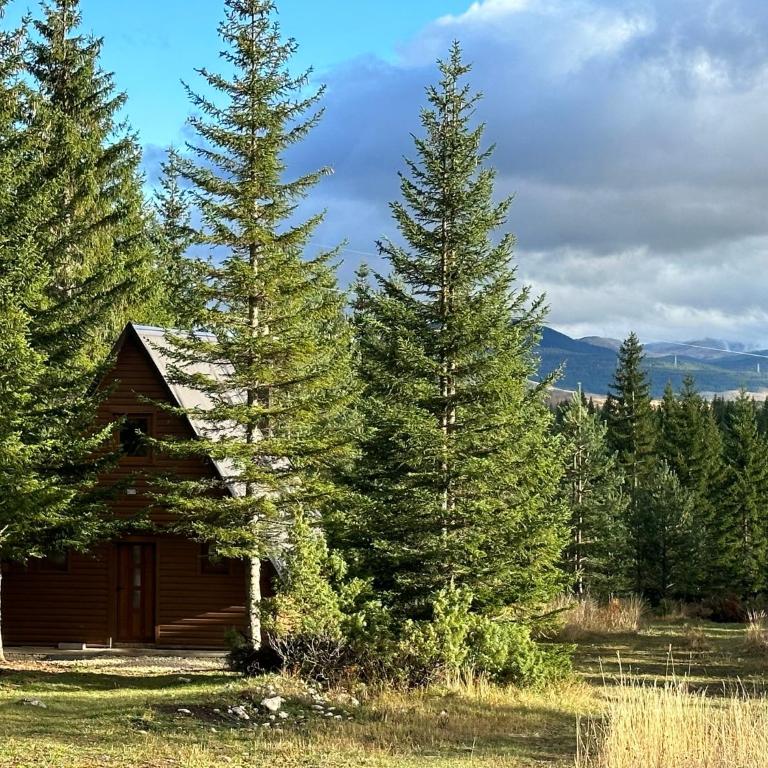 Wonderwood Cabin 2 - One-Bedroom Chalet - 13