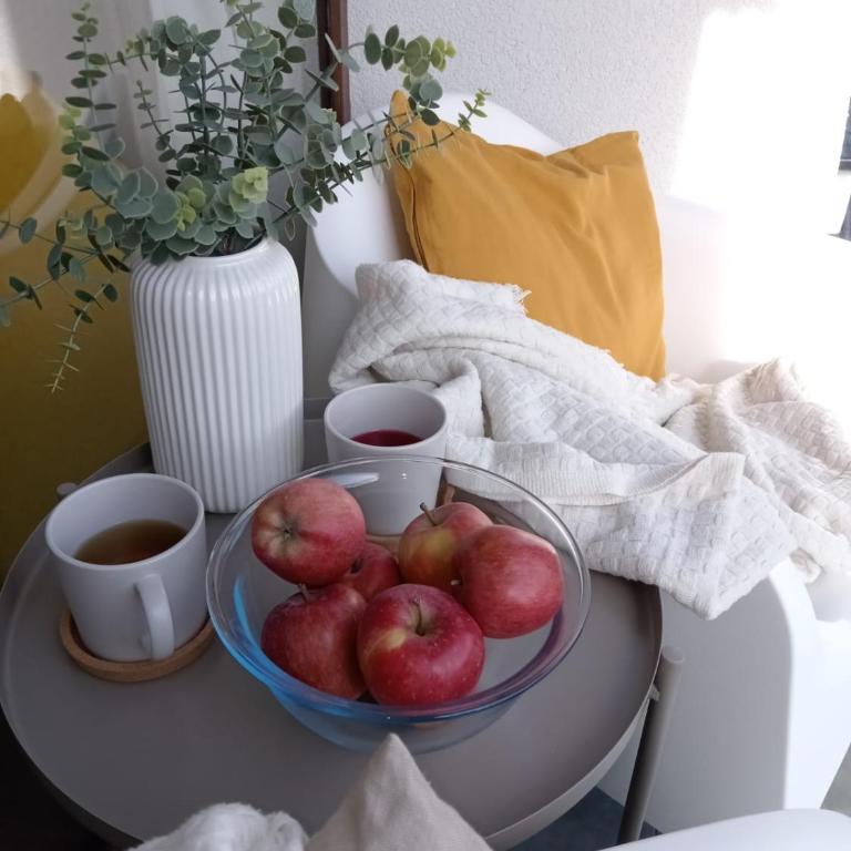 Dobro došli u Čarne vrhove! - One-Bedroom Apartment - 15