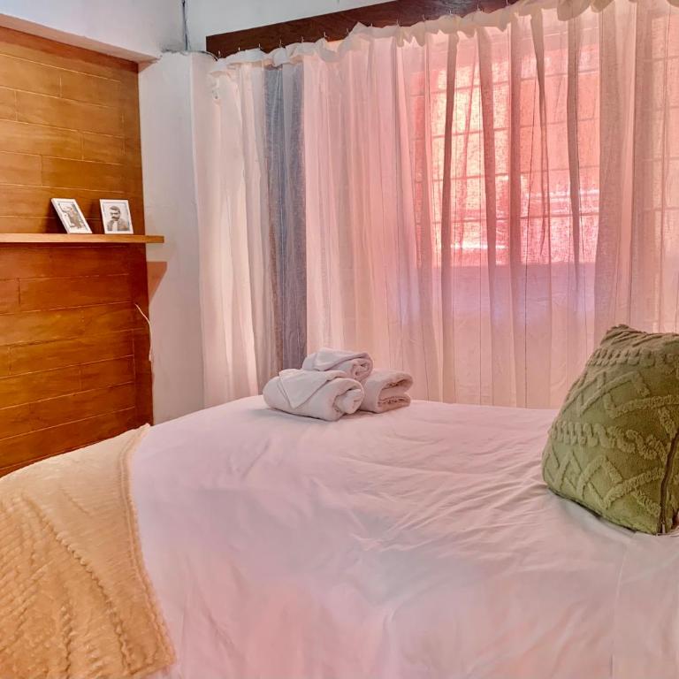 Villa Coyoacán - Habitación Doble con baño privado - 8