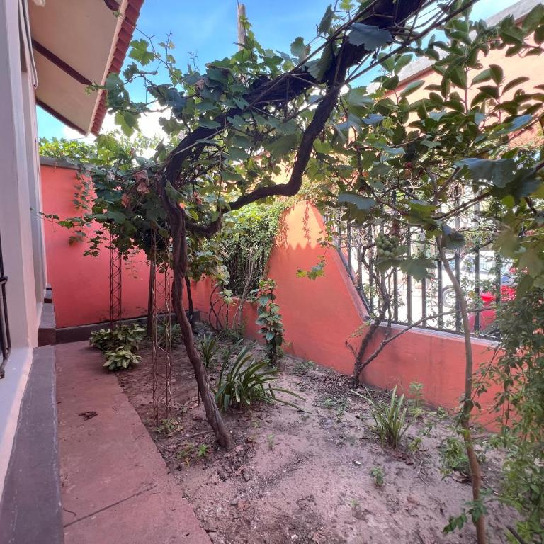 Casa Amigable y Confortable - Casa de 3 dormitorios - 39