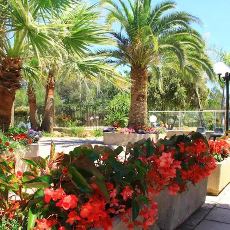 Campsitechalet France at Cotes d'Azur nearby sea - Chalet Supérieur - 5