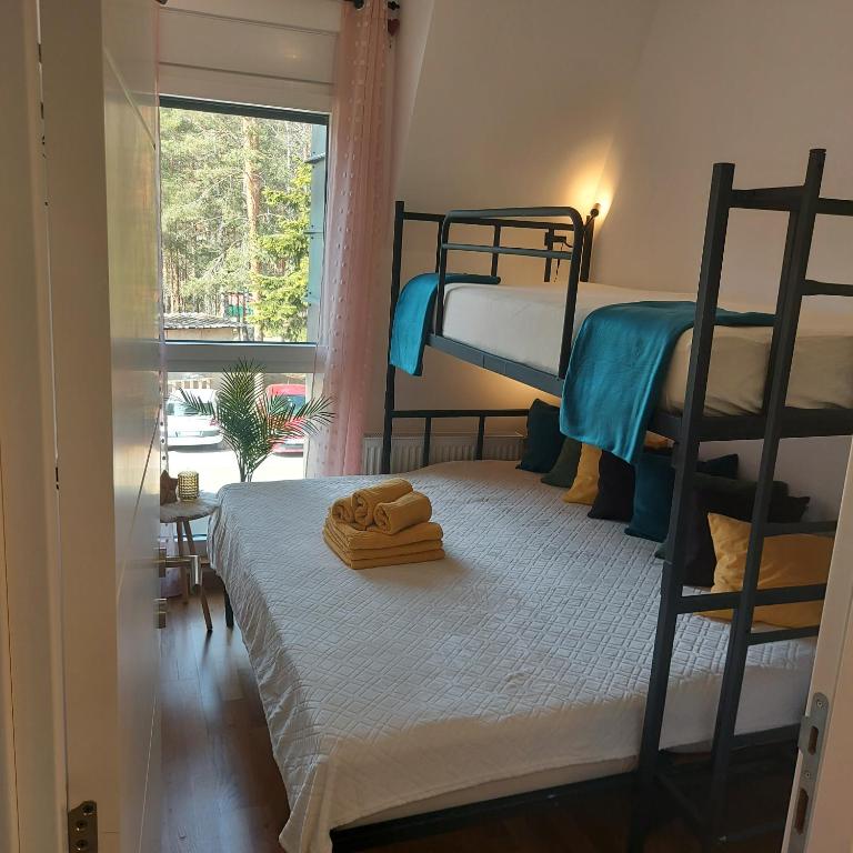 Apartman Perunika D9 - Divčigora - One-Bedroom Apartment - 6