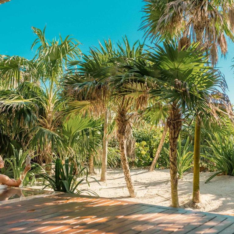 Casa Bautista Tulum - Casa Deluxe de 4 dormitorios - Frente al mar - 36