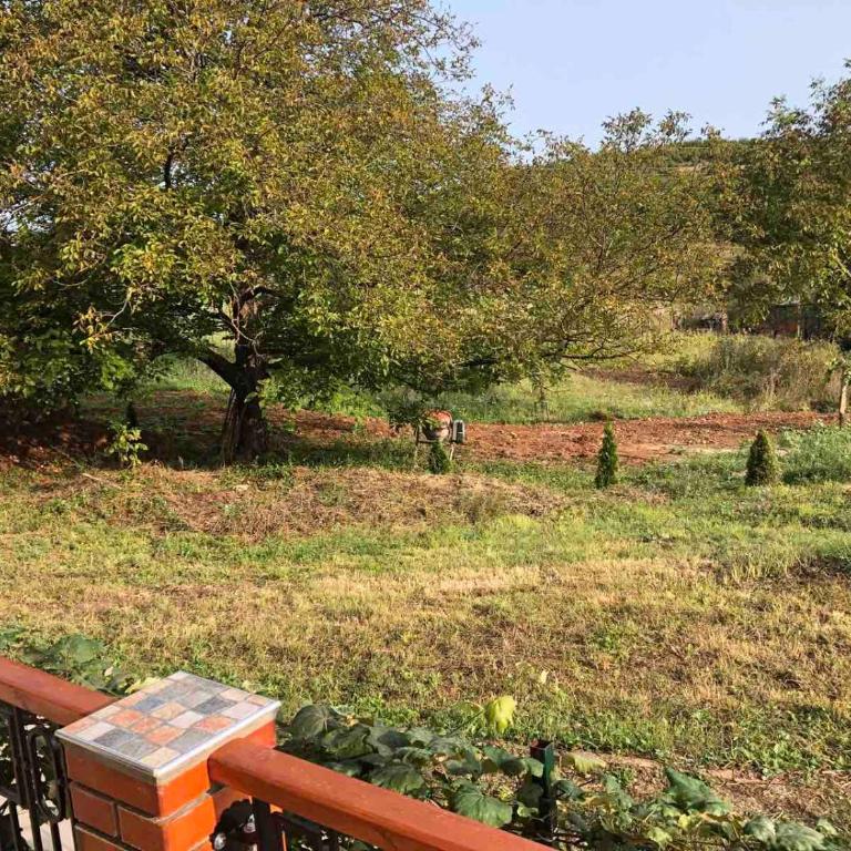 Vila Kruna - Vila - 10