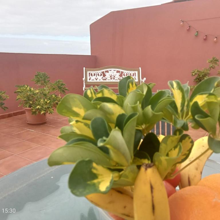 Beatifull apartament Sea View in pto Cruz - Apartamento de 2 dormitorios - 7