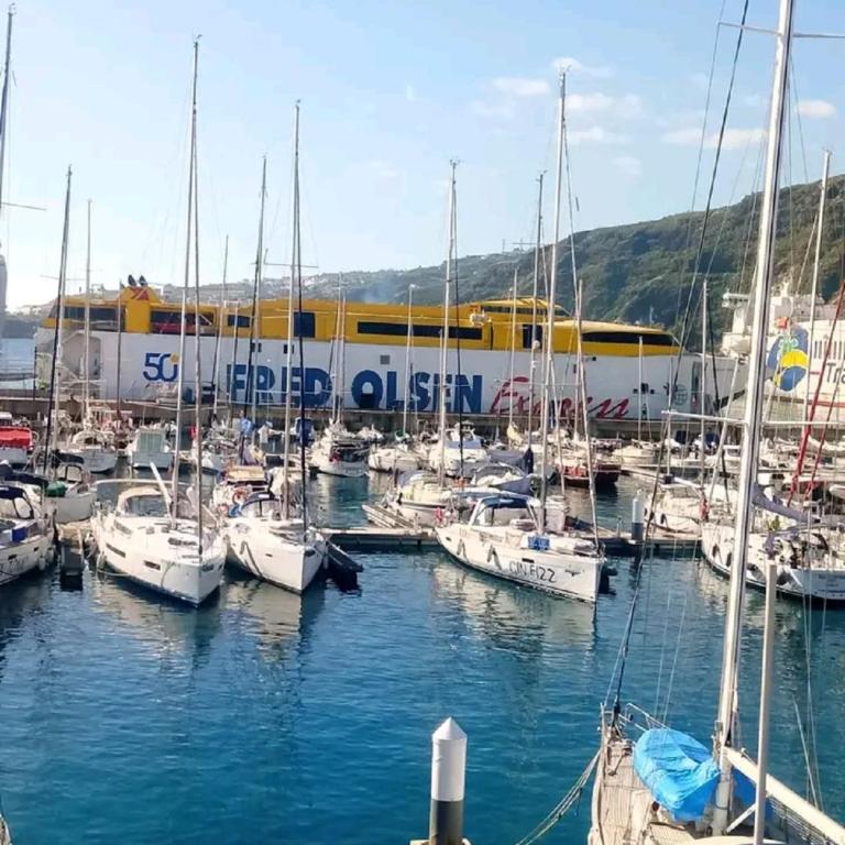 Beatifull apartament Sea View in pto Cruz - Apartamento de 2 dormitorios - 46
