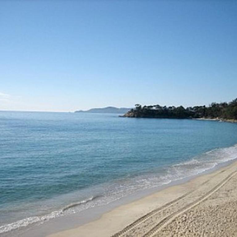 Appartement 2 pièces cabine avec terrasse, jardin, piscine et parking, proche plage - Le Lavandou - FR-1-251-517 - Appartement - 13