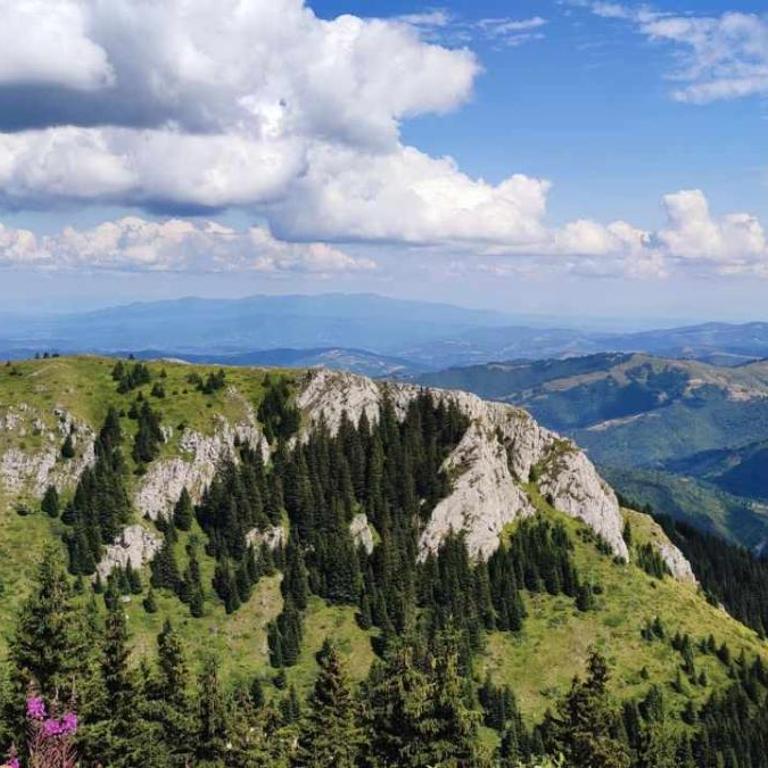 Apartman N Lux 100 Milmari resort - Apartment with Mountain View - 5